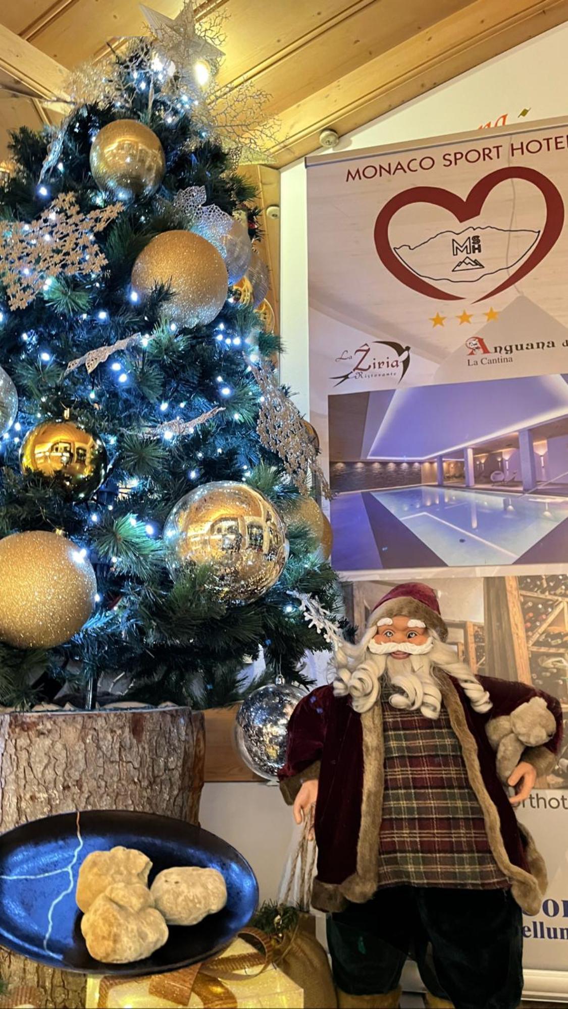 Monaco Sport Hotel Santo Stefano Di Cadore Exteriör bild